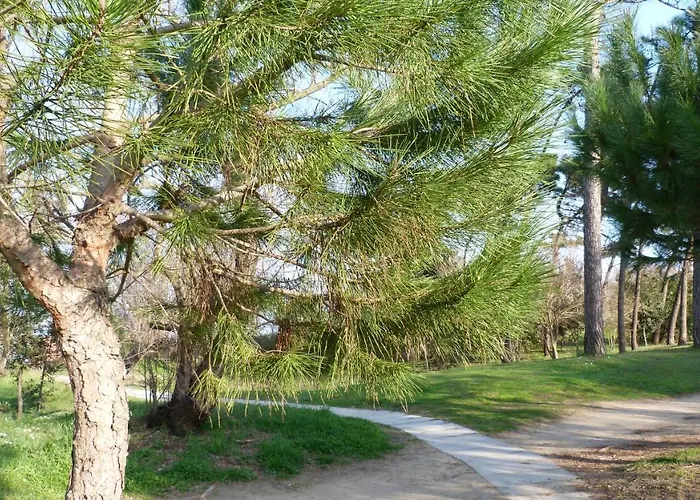 Club Vacanze In تّشيرفييا