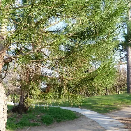 Club Vacanze In Cervia